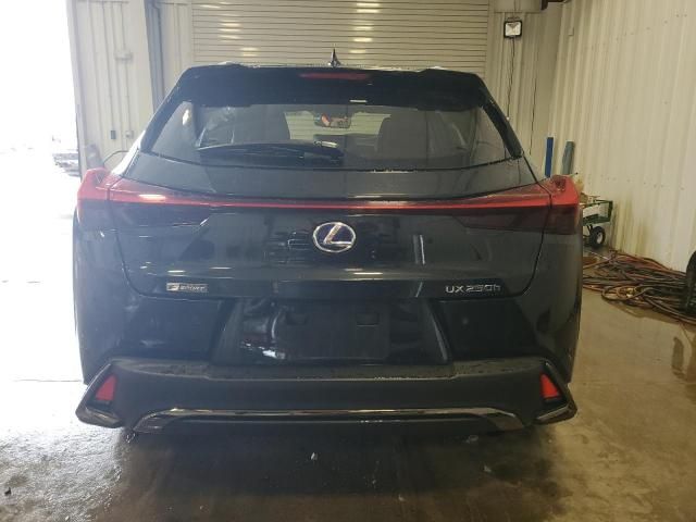 2021 Lexus UX 250H