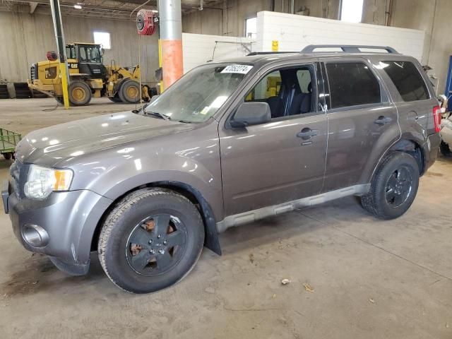 2009 Ford Escape XLT