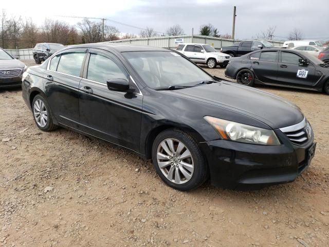 2011 Honda Accord EXL