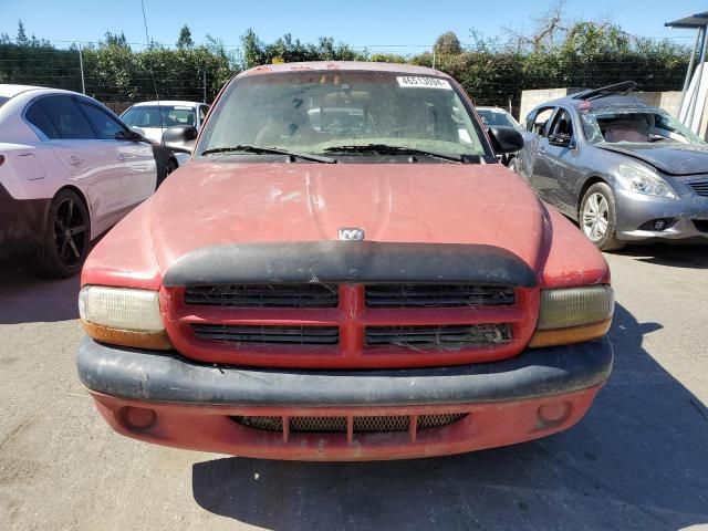 2000 Dodge Dakota