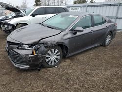 Toyota Camry LE Vehiculos salvage en venta: 2019 Toyota Camry LE