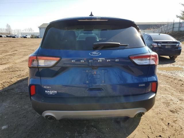 2022 Ford Escape SEL