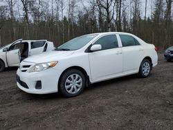 Salvage cars for sale from Copart Bowmanville, ON: 2013 Toyota Corolla Base