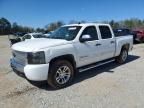 2009 Chevrolet Silverado C1500