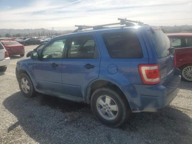 2009 Ford Escape XLT