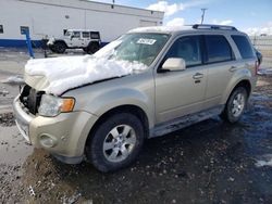 Ford Escape salvage cars for sale: 2012 Ford Escape Limited