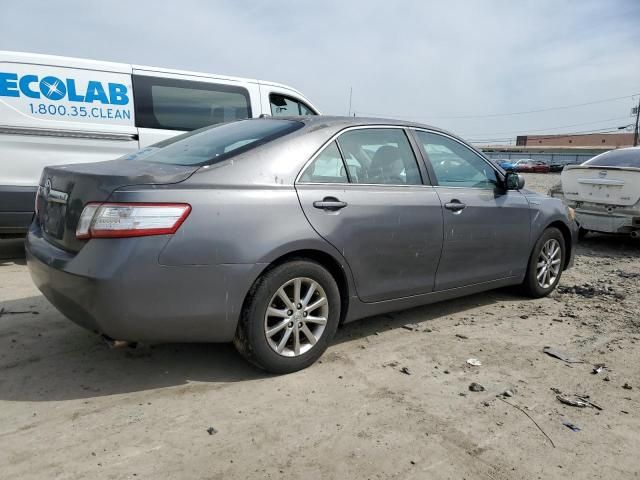 2011 Toyota Camry Hybrid