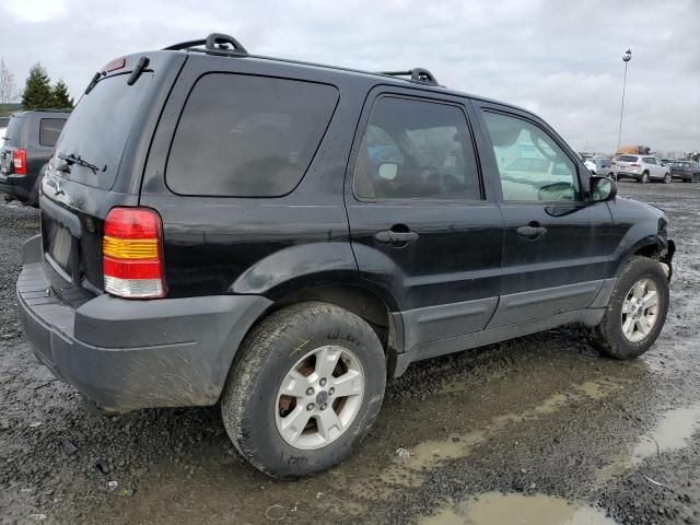 2005 Ford Escape XLT