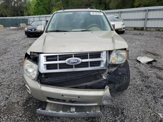 2010 Ford Escape Limited