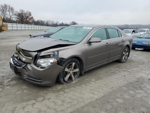 2011 Chevrolet Malibu 1LT