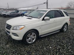 Mercedes-Benz ML 350 4matic salvage cars for sale: 2012 Mercedes-Benz ML 350 4matic