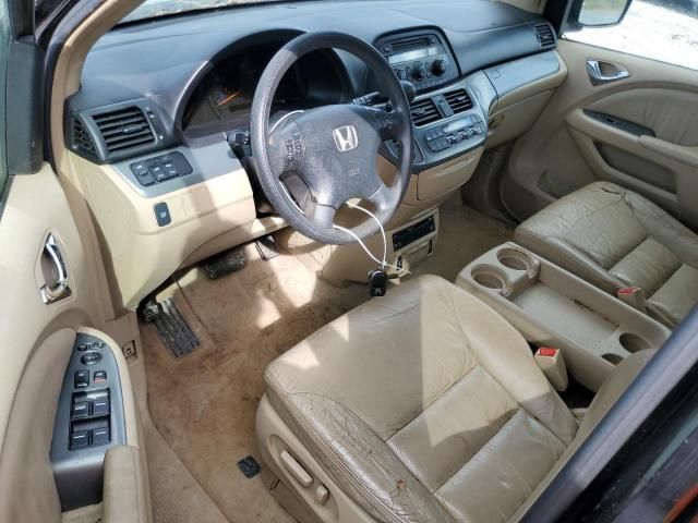 2005 Honda Odyssey EXL