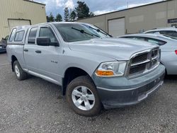 Dodge RAM 1500 salvage cars for sale: 2010 Dodge RAM 1500