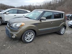 KIA Soul Vehiculos salvage en venta: 2013 KIA Soul +