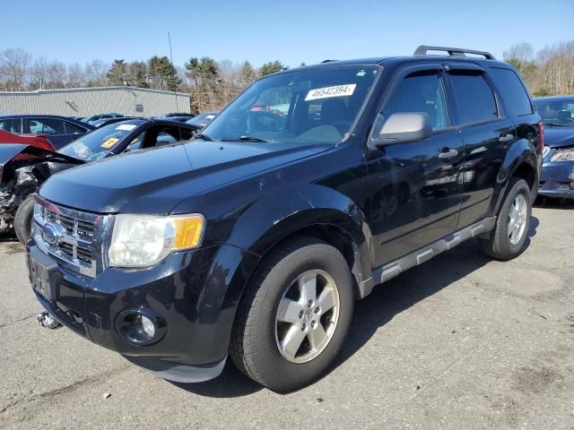 2010 Ford Escape XLT