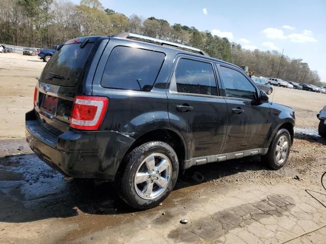 2011 Ford Escape Limited