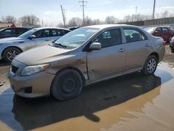Salvage cars for sale from Copart Columbus, OH: 2010 Toyota Corolla Base