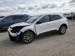 Salvage cars for sale at Indianapolis, IN auction: 2022 Ford Escape SE