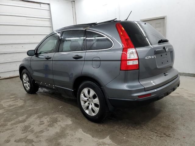 2010 Honda CR-V LX