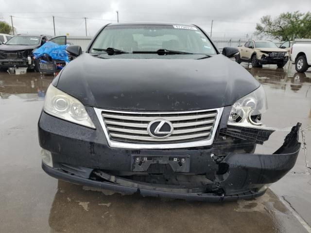 2010 Lexus ES 350