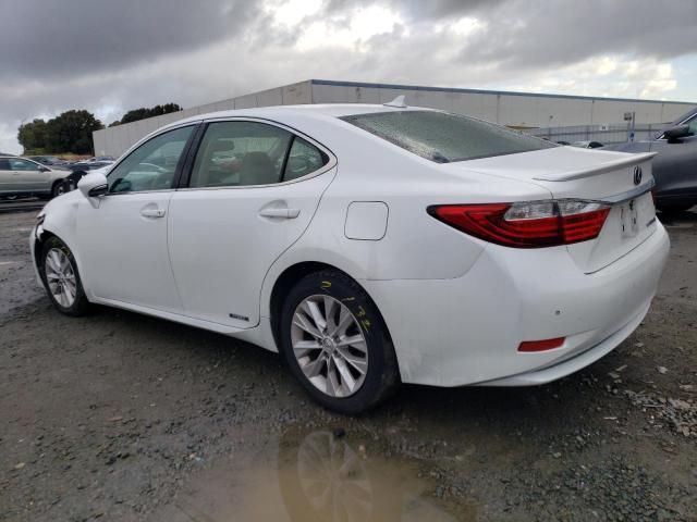 2013 Lexus ES 300H