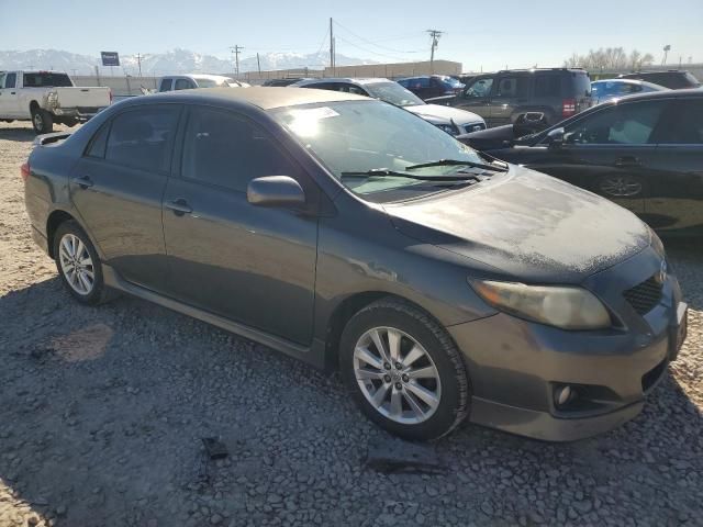 2010 Toyota Corolla Base