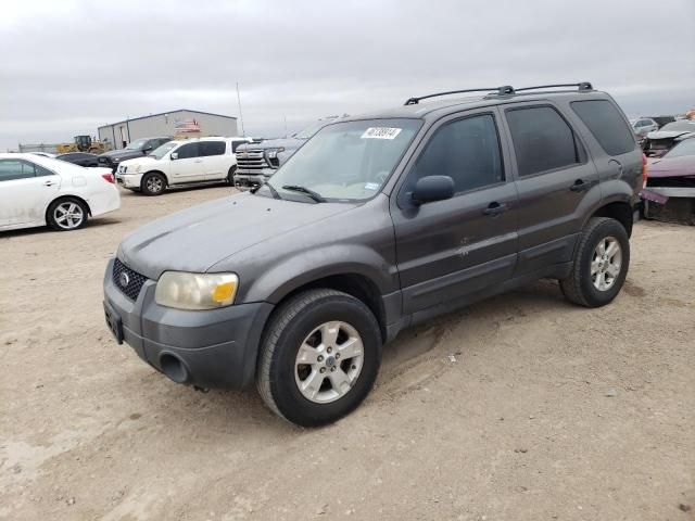 2006 Ford Escape XLT