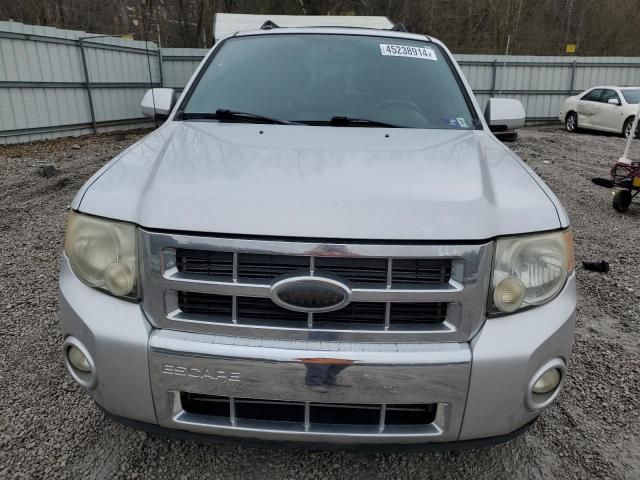 2010 Ford Escape Limited