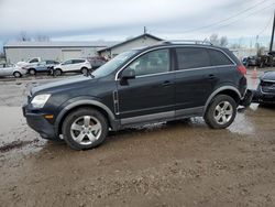 Chevrolet Captiva salvage cars for sale: 2012 Chevrolet Captiva Sport