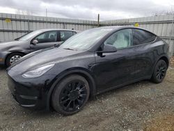 Salvage cars for sale from Copart Arlington, WA: 2021 Tesla Model Y