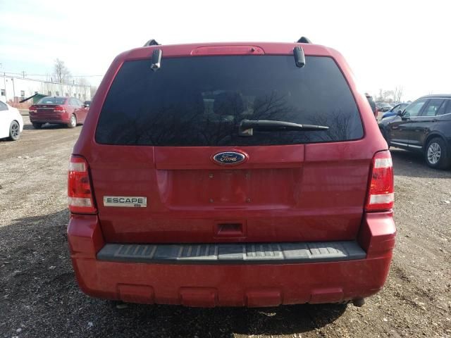 2010 Ford Escape XLT