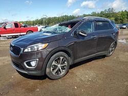 2017 KIA Sorento EX for sale in Greenwell Springs, LA