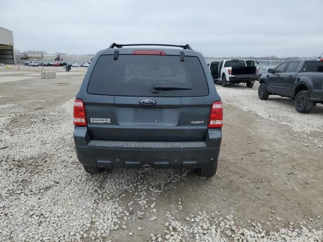 2008 Ford Escape Limited