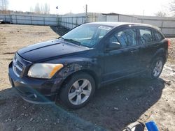 Dodge Caliber salvage cars for sale: 2011 Dodge Caliber Mainstreet