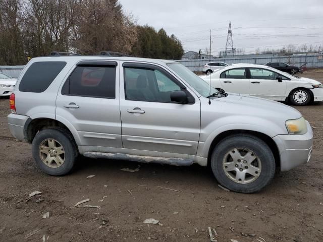 2007 Ford Escape Limited