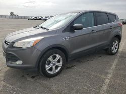 Salvage cars for sale at Fresno, CA auction: 2013 Ford Escape SE