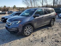 Salvage cars for sale at auction: 2019 Honda Pilot EXL