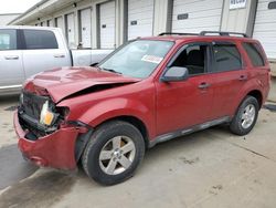 Salvage cars for sale at Louisville, KY auction: 2010 Ford Escape XLT