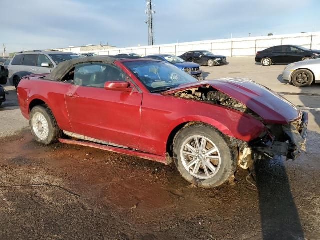 2010 Ford Mustang