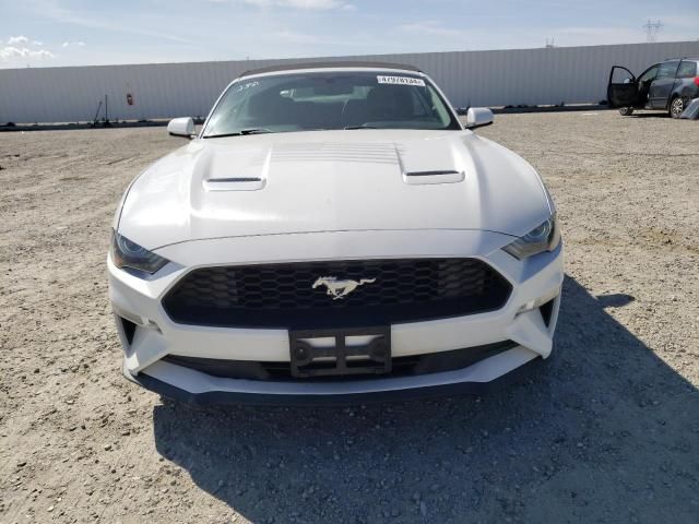 2019 Ford Mustang