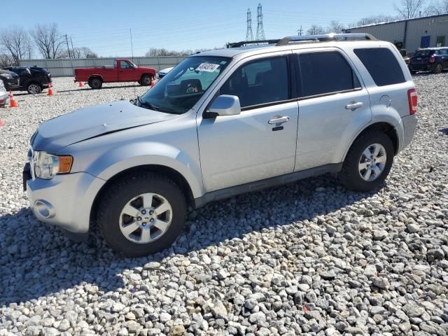 2010 Ford Escape Limited