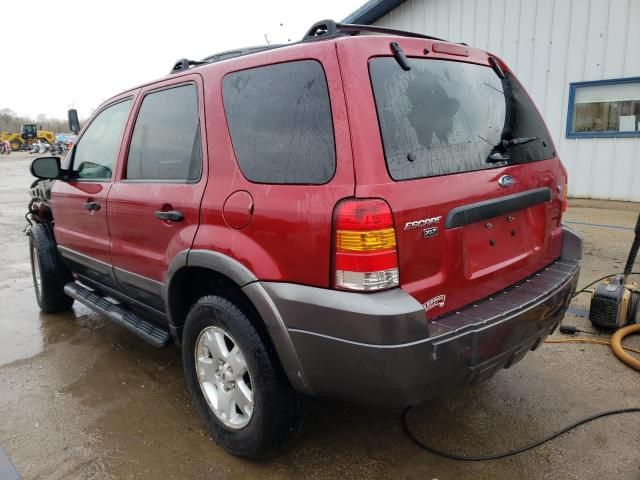 2006 Ford Escape XLT