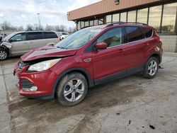 Ford Escape SE salvage cars for sale: 2014 Ford Escape SE