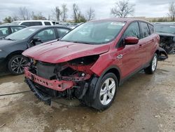 Vehiculos salvage en venta de Copart Bridgeton, MO: 2014 Ford Escape SE