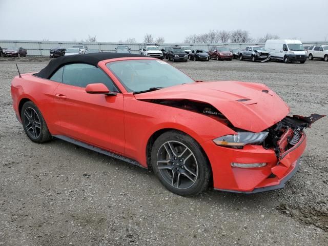 2019 Ford Mustang