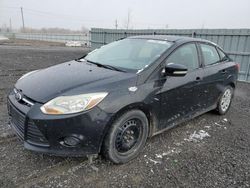 Ford Focus SE salvage cars for sale: 2013 Ford Focus SE