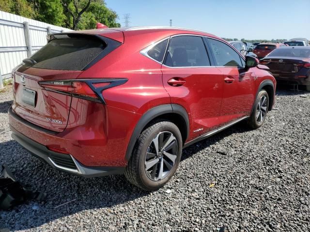 2021 Lexus NX 300H Base