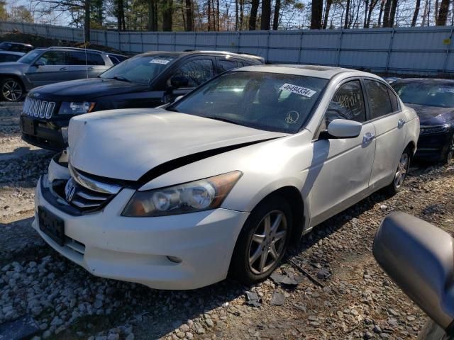 2011 Honda Accord EXL