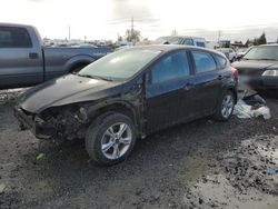 Salvage cars for sale at Eugene, OR auction: 2014 Ford Focus SE