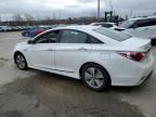 2013 Hyundai Sonata Hybrid